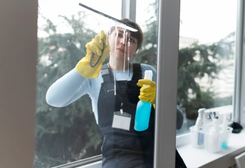 Nettoyage de vitres intérieures et extérieures à Saint-Laurent-d'Onay